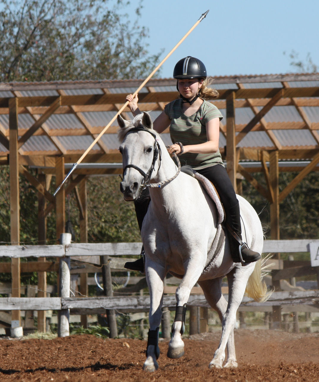 Mounted Combat Intensives Academie Cavallo